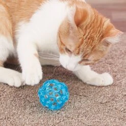 JW Pet Cataction Lattice Ball Cat Toy -Pawfect Care 73715 PT5. AC SS1800 V1525718983