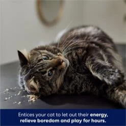 Frisco Natural Catnip & Hartz Cattraction Silver Vine & Catnip Gator Cat Scratcher Toy, Color Varies -Pawfect Care 737470 PT4. AC SS1800 V1683212147