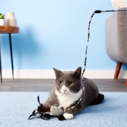 JW Pet Cataction Ball With Wand Cat Toy -Pawfect Care 73759 PT5. AC SS1800 V1525719222