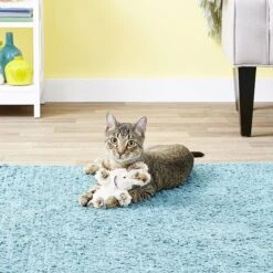 KONG Softies Fuzzy Bunny Cat Toy, Color Varies -Pawfect Care 73763 PT1. AC SS1800 V1545172968