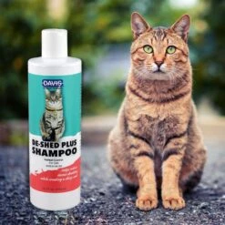 Davis DeShed Plus Shampoo For Cats, 12-oz Bottle -Pawfect Care 738910 PT1. AC SS1800 V1674491429