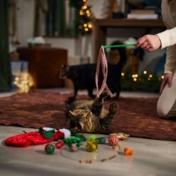 Frisco Holiday Cozy Christmas Sack Variety Pack Cat Toy With Catnip -Pawfect Care 740054 PT3. AC SS1800 V1694812461