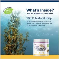 ProDen PlaqueOff Soft Chews Cat Treat, 45 Count -Pawfect Care 742198 PT2. AC SS1800 V1672952063