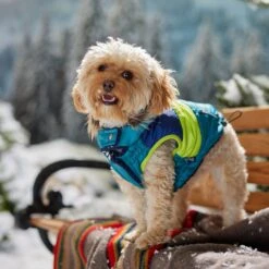 Frisco Heavy Weight Urban City Colorblock Dog & Cat Parka With Sherpa Lining -Pawfect Care 742262 PT7. AC SS1800 V1692378161