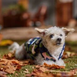 Frisco Medium Weight Urban City Camo Printed Dog & Cat Hooded Coat -Pawfect Care 742358 PT7. AC SS1800 V1692376368