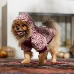 Frisco Textured Wubby 2-Tone Fleece Dog & Cat Hoodie 18 Frisco Textured Wubby 2-Tone Fleece Dog & Cat Hoodie -Pawfect Care 742406 PT7. AC SS1800 V1692378336