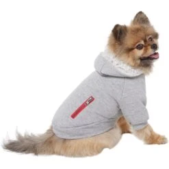 Frisco Sweatshirt Fleece Dog & Cat Hoodie With Sherpa Lining -Pawfect Care 742550 PT2. AC SS1800 V1703194378