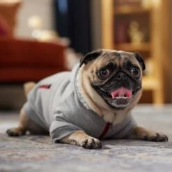 Frisco Sweatshirt Fleece Dog & Cat Hoodie With Sherpa Lining -Pawfect Care 742550 PT7. AC SS1800 V1692378690