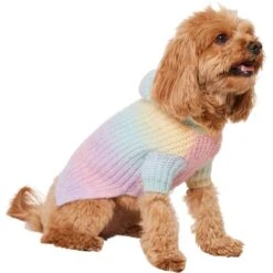Frisco Soft Multi Stripe Ombre Dog & Cat Hooded Sweater -Pawfect Care 742838 PT2. AC SS1800 V1703194379