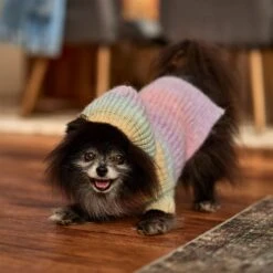 Frisco Soft Multi Stripe Ombre Dog & Cat Hooded Sweater -Pawfect Care 742838 PT7. AC SS1800 V1692376365