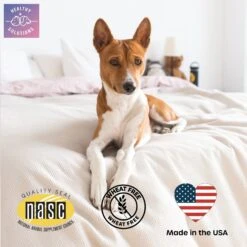 Healthy Solutions For Pets Soft Chews Calming Supplement For Cats, 60 Count -Pawfect Care 743478 PT5. AC SS1800 V1674574217