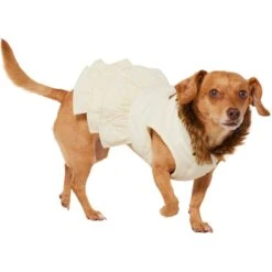 Frisco Medium Weight Quilted Ruffle Tiered Dog & Cat Dress -Pawfect Care 744262 PT2. AC SS1800 V1703194436
