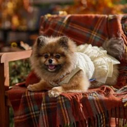 Frisco Medium Weight Quilted Ruffle Tiered Dog & Cat Dress -Pawfect Care 744262 PT7. AC SS1800 V1693401666