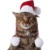 Frisco Chunky Knit Santa Dog & Cat Hat -Pawfect Care 744878 MAIN. AC SS1800 V1694812847