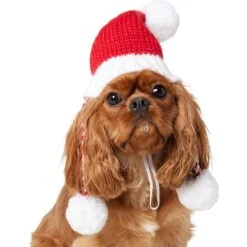 Frisco Chunky Knit Santa Dog & Cat Hat -Pawfect Care 744878 PT2. AC SS1800 V1694812755