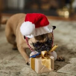 Frisco Chunky Knit Santa Dog & Cat Hat -Pawfect Care 744878 PT5. AC SS1800 V1694793814