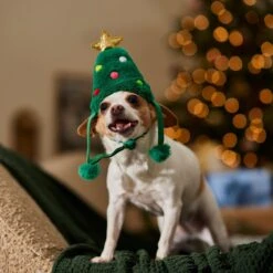 Frisco Christmas Tree Faux Fur Dog & Cat Hat -Pawfect Care 745582 PT5. AC SS1800 V1694793444