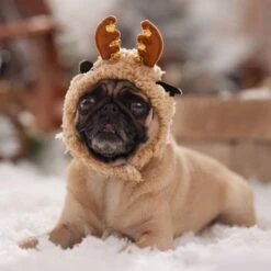 Frisco Sherpa Reindeer Dog & Cat Hat With Bells -Pawfect Care 745646 PT5. AC SS1800 V1694795597