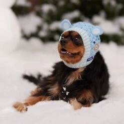 Frisco Nordic Ears Sweater Knit Dog & Cat Hat -Pawfect Care 745710 PT5. AC SS1800 V1695671059