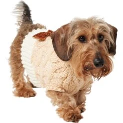 Frisco Cable Knit Dog & Cat Sweater Dress With Velvet Bow -Pawfect Care 745838 PT2. AC SS1800 V1694793815