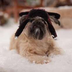 Frisco Tartan Plaid Dog & Cat Trapper Hat -Pawfect Care 746750 PT5. AC SS1800 V1694800749