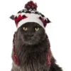 Frisco Nordic Pawprint Dog & Cat Hat -Pawfect Care 746782 MAIN. AC SS1800 V1694798864