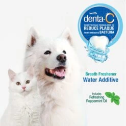 Nylabone Advanced Oral Care Breath Freshener Dog & Cat Dental Water Additive -Pawfect Care 74771 PT3. AC SS1800 V1641584597