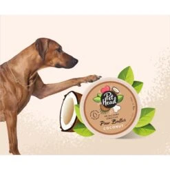 Pet Head On All Paws Coconut Cat & Dog Paw Butter Soothes & Nourishes Paws & Noses, 1.4-oz Jar -Pawfect Care 750302 PT2. AC SS1800 V1675107000
