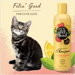 Pet Head Felin' Good Vegan Cat Shampoo, 10.1-oz Bottle -Pawfect Care 750318 PT2. AC SS1800 V1675108448