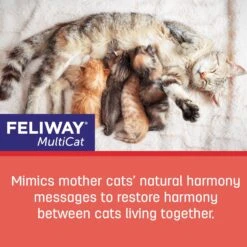 Feliway Multi-Cat Diffuser Refill, 6 Count -Pawfect Care 755958 PT6. AC SS1800 V1674070872