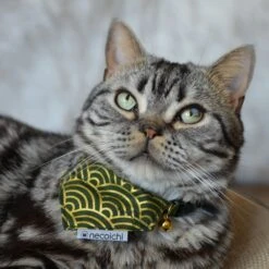Necoichi Bandana Cat Collar With Air Tag Pocket, One Size -Pawfect Care 759454 PT4. AC SS1800 V1682709757