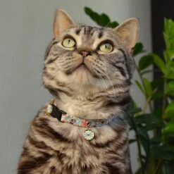 Necoichi Sunny Blossoms Cat Collar -Pawfect Care 759486 PT6. AC SS1800 V1683817841