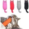 SunGrow Plush Cat Toy With Catnip -Pawfect Care 759526 MAIN. AC SS1800 V1701932778