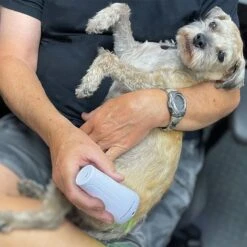 LumaSoothe 2 Light Therapy Dog & Cat Pain Reliever -Pawfect Care 762934 PT6. AC SS1800 V1674670690