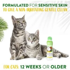 TropiClean Gentle Coconut Hypoallergenic Cat Shampoo, 12-oz Bottle -Pawfect Care 769486 PT4. AC SS1800 V1684406269