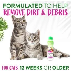 TropiClean Berry & Coconut Deep Cleansing Cat Shampoo, 12-oz Bottle -Pawfect Care 769502 PT4. AC SS1800 V1684415734
