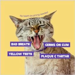 HICC PET Finger Glove Cat & Dog Dental Wipes, 50 Count -Pawfect Care 769934 PT1. AC SS1800 V1688654228