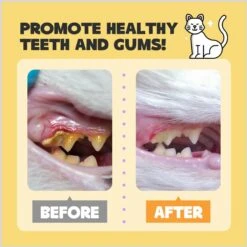 HICC PET Finger Glove Cat & Dog Dental Wipes, 50 Count -Pawfect Care 769934 PT4. AC SS1800 V1688654298