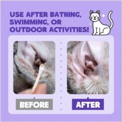 HICC PET Antibacterial Cat & Dog Ear Rinse With Cotton Swabs, 4-oz Bottle -Pawfect Care 770094 PT4. AC SS1800 V1688654223