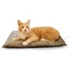 K&H Pet Products Heated Amazin' Kitty Pad 2 K&H Pet Products Heated Amazin' Kitty Pad -Pawfect Care 78491 MAIN. AC SS1800 V1627951380