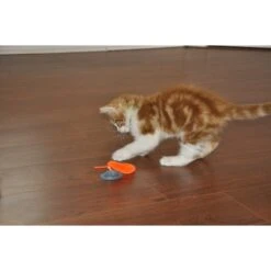 Bergan Whirly Pop Cat Toy With Catnip 13 Bergan Whirly Pop Cat Toy With Catnip -Pawfect Care 79187 PT4. AC SS1800 V1533671609