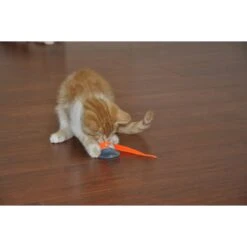 Bergan Whirly Pop Cat Toy With Catnip 14 Bergan Whirly Pop Cat Toy With Catnip -Pawfect Care 79187 PT5. AC SS1800 V1533671686