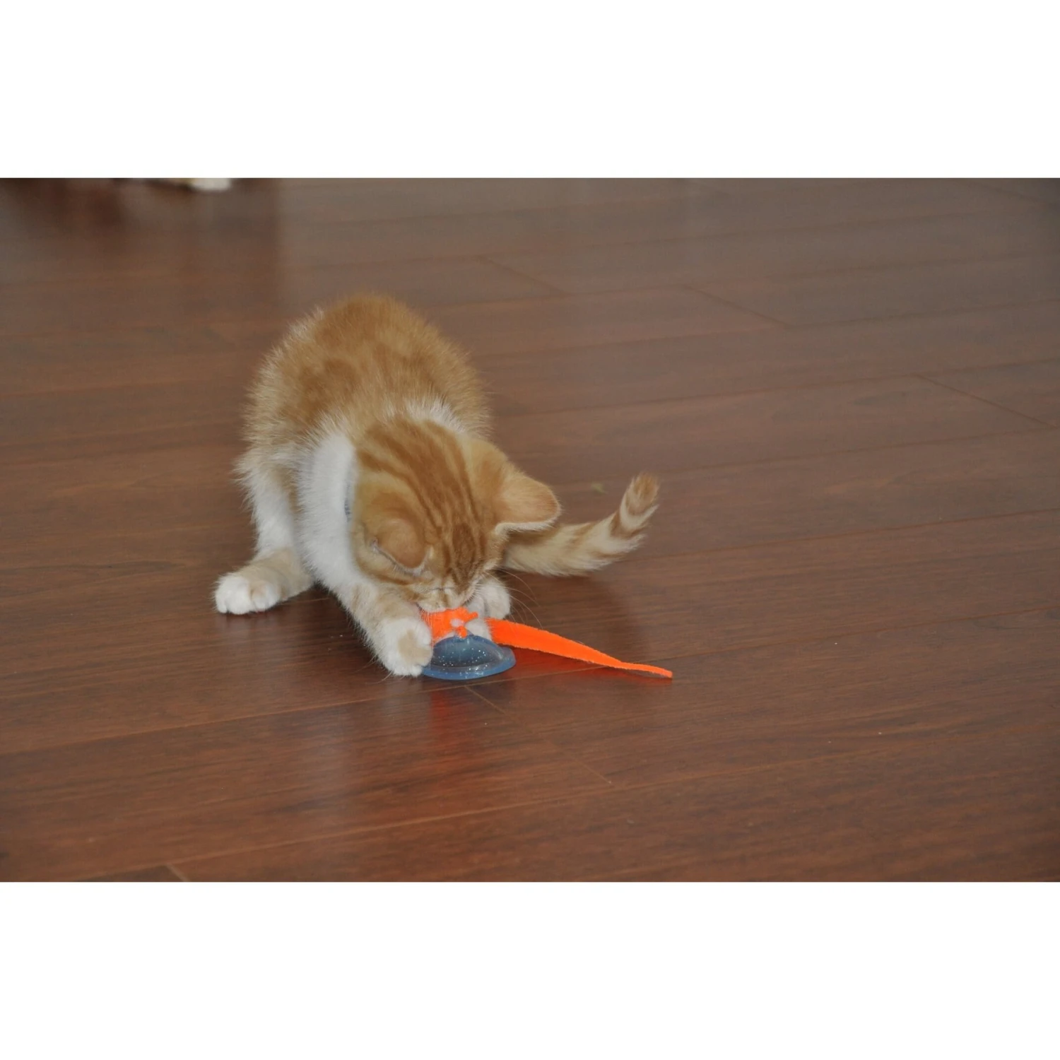 Bergan Whirly Pop Cat Toy With Catnip 8 Bergan Whirly Pop Cat Toy With Catnip - Image 6