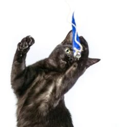 Honest Pet Products Eco Kitty Catcher Fishpole Cat Toy -Pawfect Care 797214 PT5. AC SS1800 V1690574363