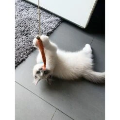 Honest Pet Products Eco Kitty Catcher Fishpole Cat Toy -Pawfect Care 797214 PT7. AC SS1800 V1690574289