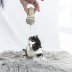 Honest Pet Products Eco-Mouser Cat Toy -Pawfect Care 797246 PT5. AC SS1800 V1690572750