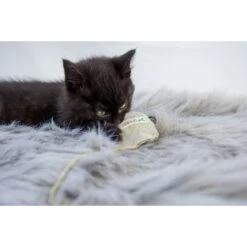 Honest Pet Products Eco-Mouser Cat Toy -Pawfect Care 797246 PT7. AC SS1800 V1690574292