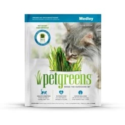 Pet Greens Self Grow Medley Pet Grass