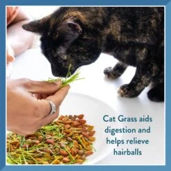 Pet Greens Self Grow Medley Pet Grass -Pawfect Care 80256 PT2. AC SS1800 V1628903500