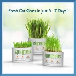 Pet Greens Self Grow Medley Pet Grass -Pawfect Care 80256 PT3. AC SS1800 V1628903497